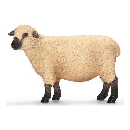 Шробширская овца