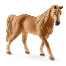 Теннесийская лошадь, кобыла