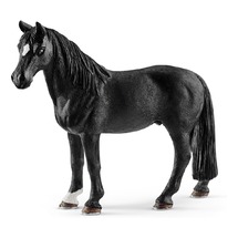 Теннесийская лошадь, мерин