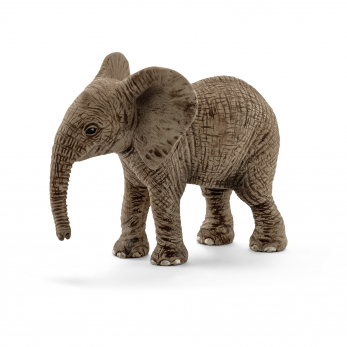 Африканский слон, детёныш