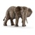 Африканский слон, самка (уценка)