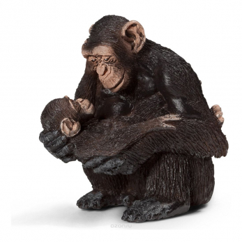 Шимпанзе, самка с детёнышем