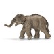Азиатский слон, детеныш