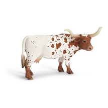 Техасский лонгхорн, корова