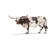 Коровы породы Техасский лонгхорн