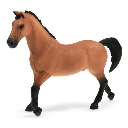 Тракененская лошадь, жеребец