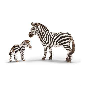 Зебра с детёнышем