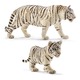 Семейство белых тигров