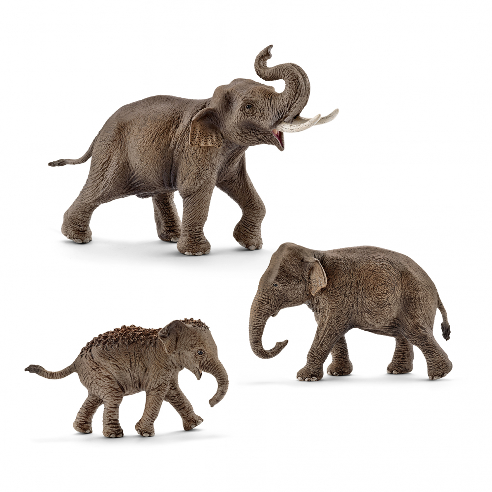 Семейство Азиатских слонов sch14755 от Schleich за 3 150 руб. Купить в  официальном магазине Schleich