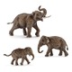 Семейство Азиатских слонов