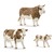 Коровы Симментальской породы