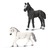 Лошади Липпицианской породы