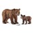 Самка медведя гризли с детенышем