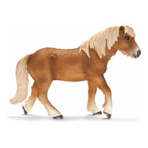 Исландский пони, кобыла